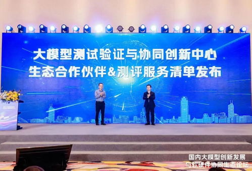 国内大模型创新发展与软硬件协同生态论坛在上海徐汇成功举办